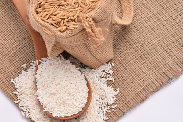 White  paddy rice on wooden spoon and hemp sack with brown paddy rice seed on white background.Selective focus with shallow depth of field.