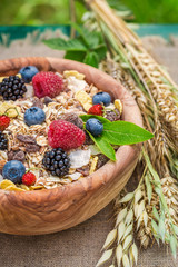 Tasty muesli with berry fruits and milk in garden