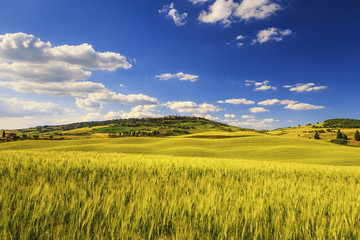 Plakat Tuscany spring, Pienza medieval village and wheat. Siena, Italy