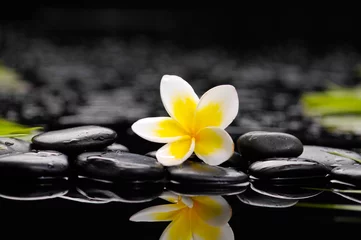 Keuken spatwand met foto frangipani with therapy stones     © Mee Ting