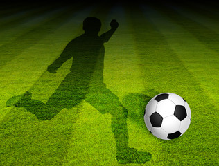 Shadow kicking soccer ball on soccer green field.