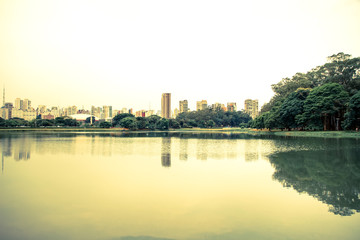 Fototapeta premium Ibirapuera Park in Sao Paulo