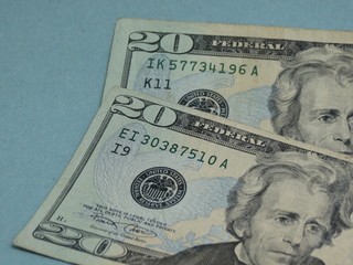 twenty dollar bill