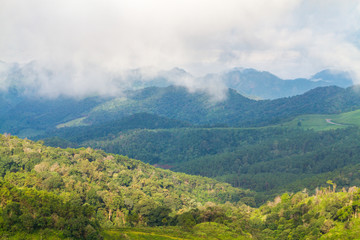 Fototapeta na wymiar Fog and cloud mountain valley landscape,Thailand