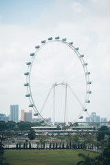 Fototapeta premium Singapore Flyer - the Largest Ferris Wheel in the World
