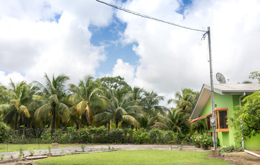 Telephone pole near the house, Trinidad, Trinidad And Tobago