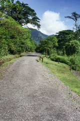 Fototapeta na wymiar Empty road passing through forest, Costa Rica