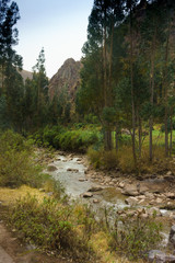 Fototapeta na wymiar Stream passing through forest with mountain in background, Cusco, Peru