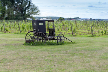 Abandoned stagecoach on field with vineyard in the background