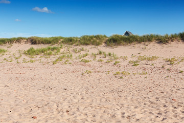 Scenic view of sandy beach, Prince Edward Island, Canada