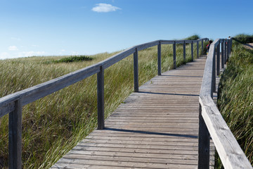 Boardwalk passing through landscape, Prince Edward Island, Canada
