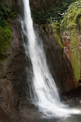 View of La Fortuna Waterfall in a forest, Alajuela Province, Costa Rica