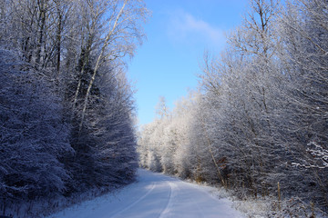 Country Road in Winter