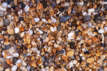 Wet pebbles top view. The texture of small stones and shells.
