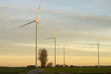 Turbiny wiatrowe na polach zboża,Niemcy  © Mike Mareen