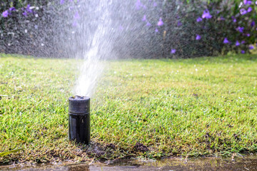 Garden lawn water sprinkler system.