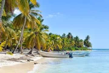 Boats and Palm Trees on Exotic Beach at Tropical Island