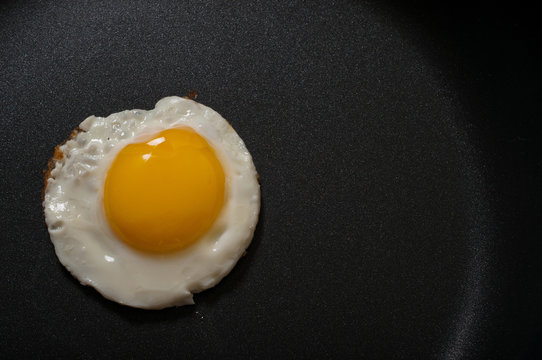 fried egg