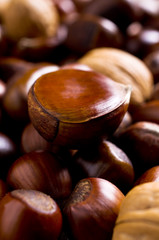 Obraz premium Background of various nuts