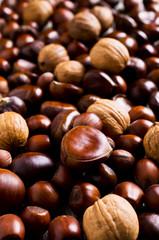 Background of various nuts