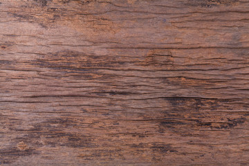 wood texture background