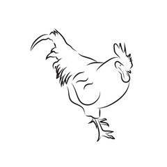 Chicken icon