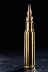 Large-caliber cartridge on a dark background 