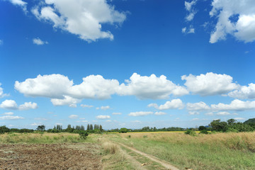 Obraz premium blue sky, blue sky and miracle cloud above glass,