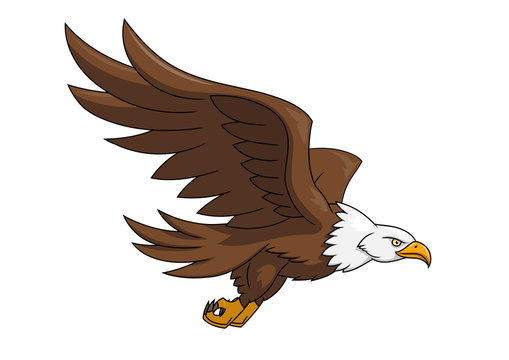 Flying eagle illustration 3