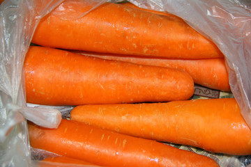 Carrots / Close up picture of carrot
