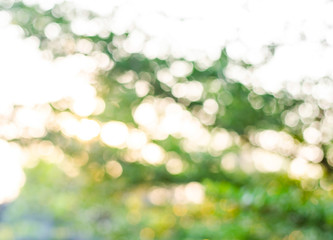 Obraz premium Green Bokeh texture or background, blur circle.
