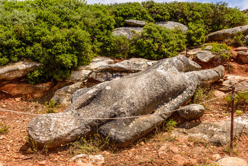 Marble Kouros is the type of the statue, a sample of ancient Greek art, Melanes village, Naxos island, Cyclades, Greece.