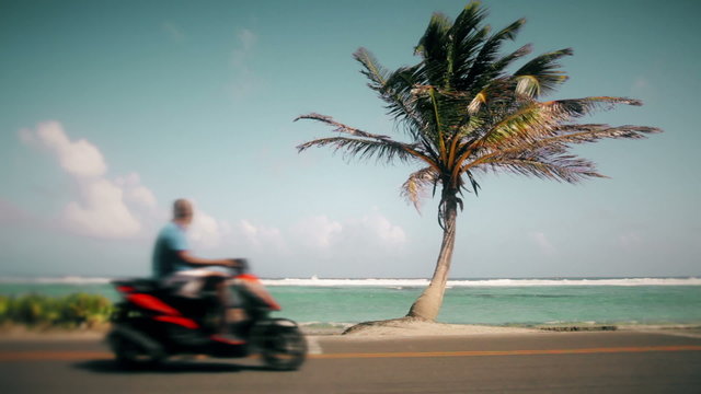 Motion-Photo (Cinemagraph) of a Palm Tree Symbol of Vacation and a blurry Motorcycle