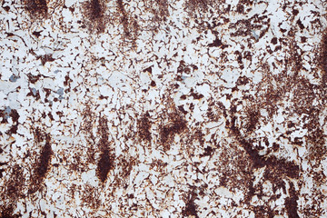 grunge zinc texture