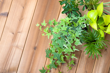 ガーデニング ウッドテーブル