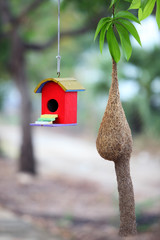 colorful bird house with bird nest