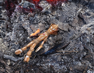 Obraz premium Voodoo doll burning in the ashes, Halloween theme