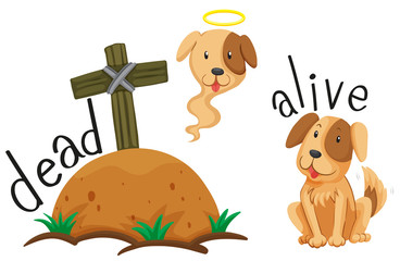 Dead dog under the ground and dog alive