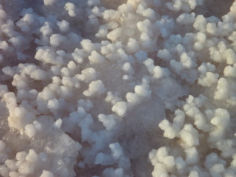 salt grain at a dried salt lake