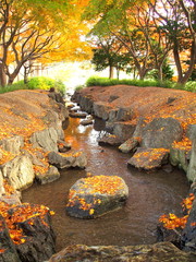 枯れ葉散る冬の小川