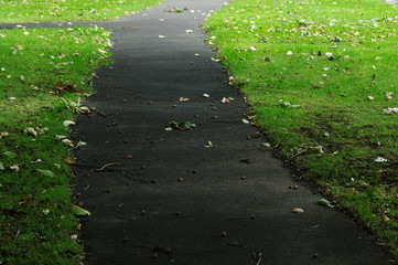 公園の小道