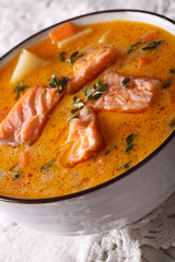 Tasty fish soup with salmon, vegetables and thyme. vertical
