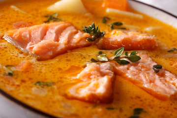 Salmon soup with thyme macro in a bowl. horizontal
