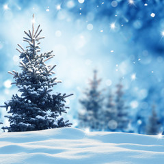 Christmas winter background with fir tree and blurred bokeh