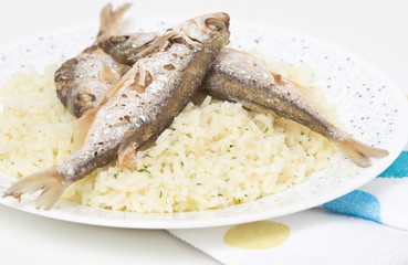 rice with fried fish