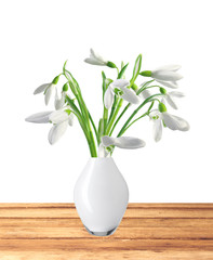 Spring snowdrops in vase on wooden table isolated on white