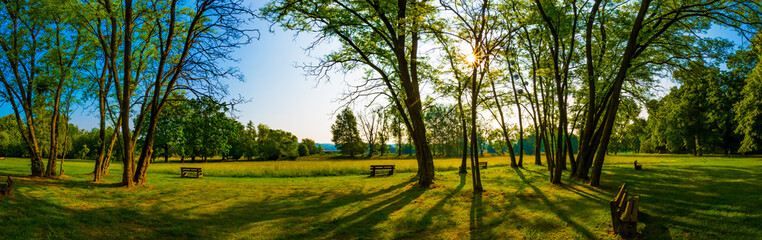 Park and recreation area in the city, Green field and tree © luchschenF