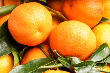 Fresh organic Clementines