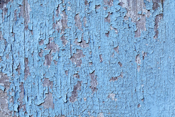 weathered blue panel