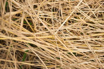 The brown straw texture as background